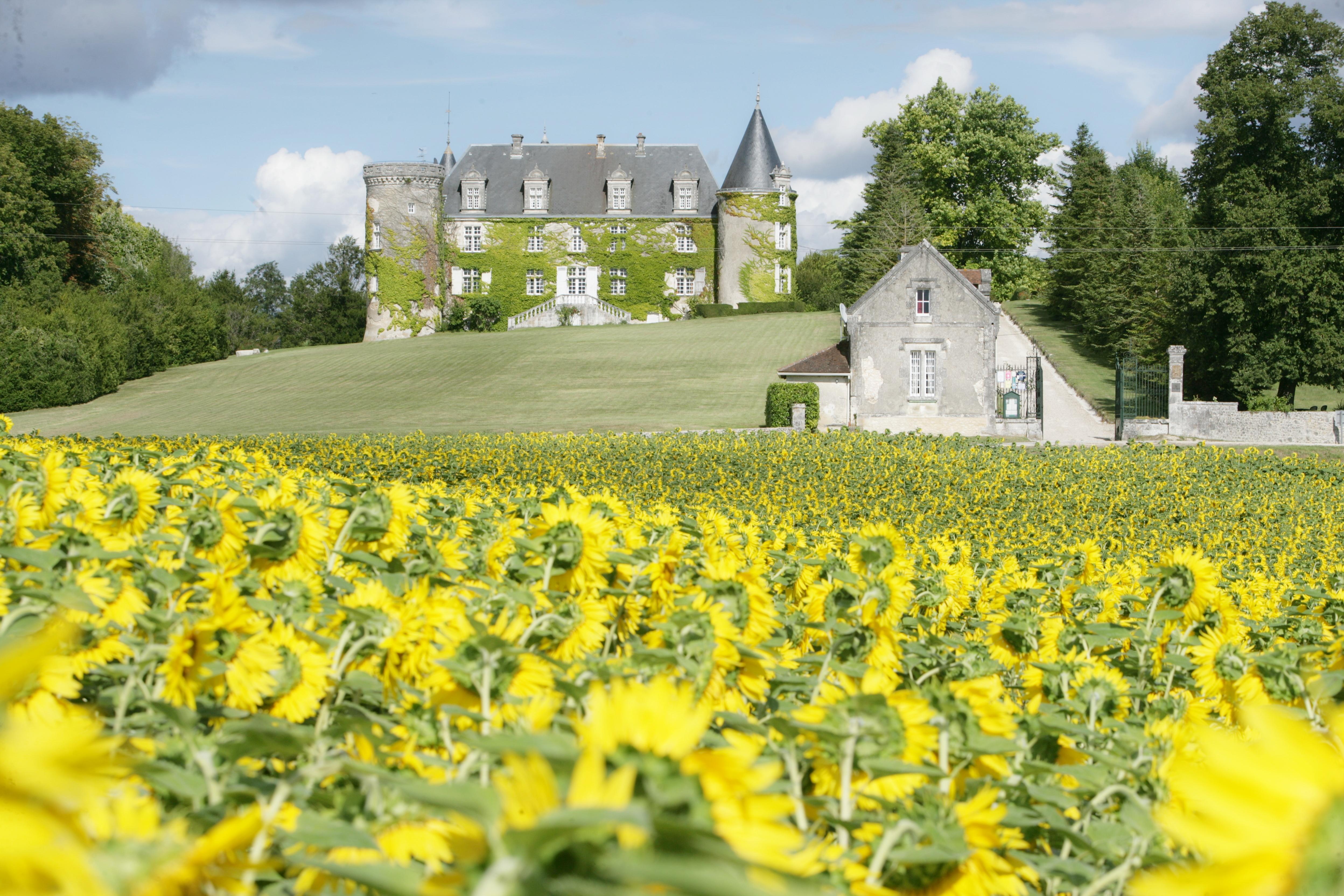 Hotel & Spa Chateau De La Cote - Brantome Biras Exteriér fotografie